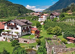 Bauernhof Baumgartnerhof