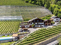 Bognerhof - Holiday on a farm
