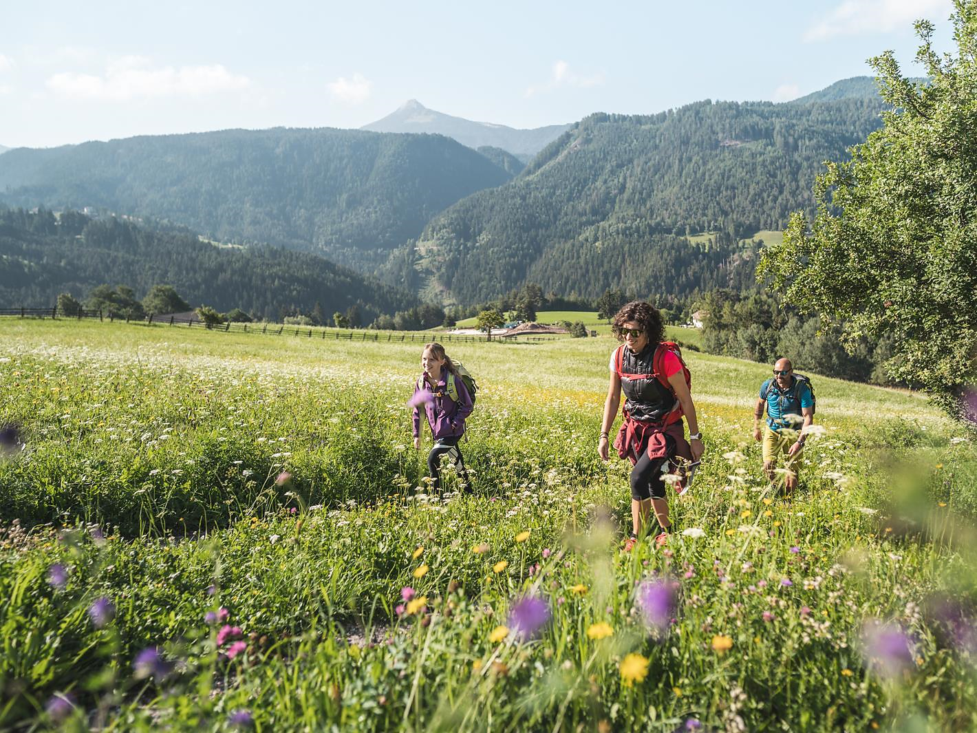 Escursione alla scoperta di fiori & erbe aromatiche - Maso Lupicino - Regione dolomitica Val d'Ega - #3 - suedtirol.info