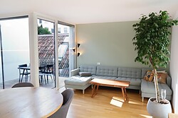 Apartments Schaller