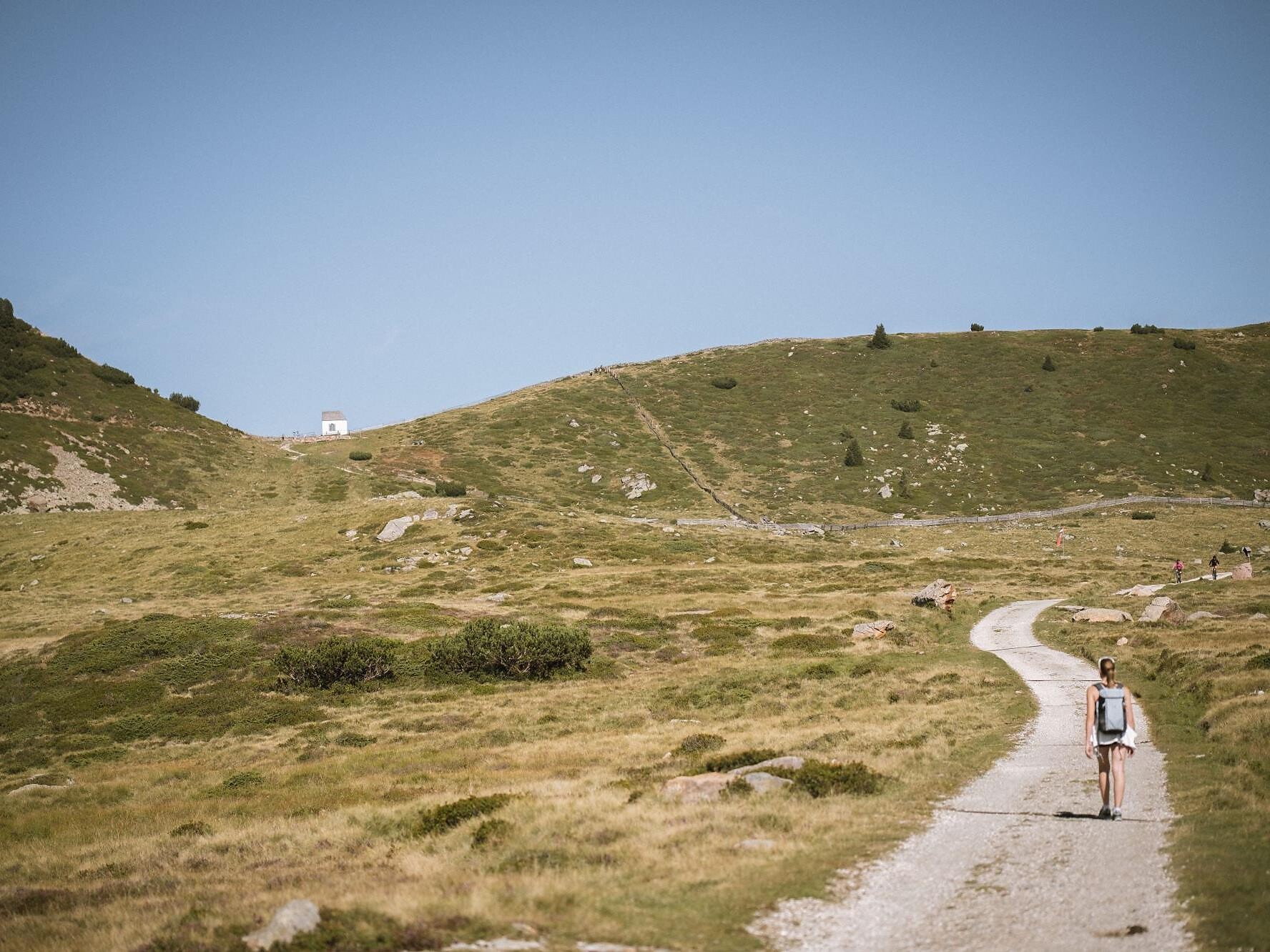 Villanderer Almwanderung mit Besichtigung der Latschenkiefer-Schaubrennerei - Brixen und Umgebung - #2 - suedtirol.info