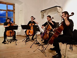 Concert with the ensemble 
