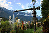 Tourismusverein Partschins, Barbara Schnitzer