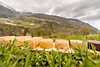 IDM Südtirol | Manuel Pazeller