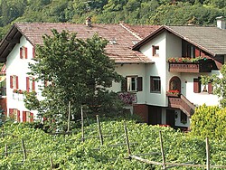 Haus Moargütl