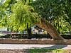 @suedtirolssueden Achim Meurer