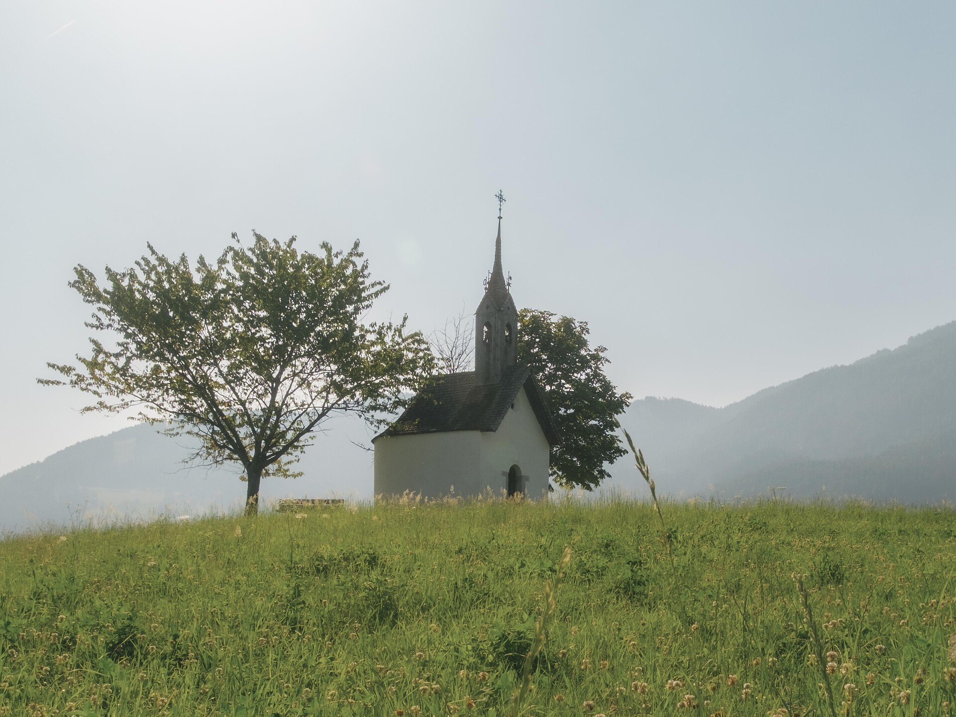 Natur, Hof & Genuss - Lechnerhof