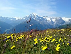 Wild Herb Hike - Guided Adventure Hike in the National Park