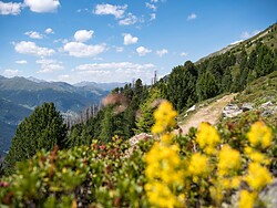 Along Ancient Trails in the National Park Guided Hike in the National Park