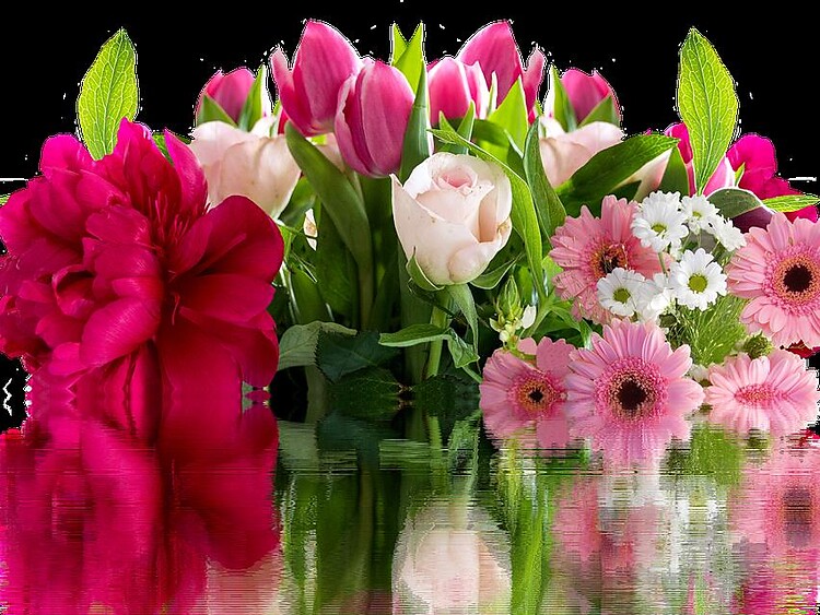 pixabay