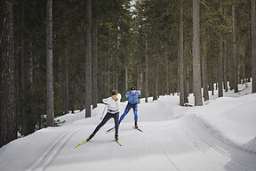 Langlaufen im Antholzertal
