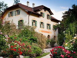 Schlosswirt Forst