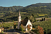 Vinschgau Marketing/Patrick Schwienbacher