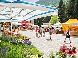 Micheli Markt