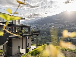 Residence Vinea