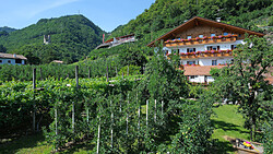 Schrenteweinhof