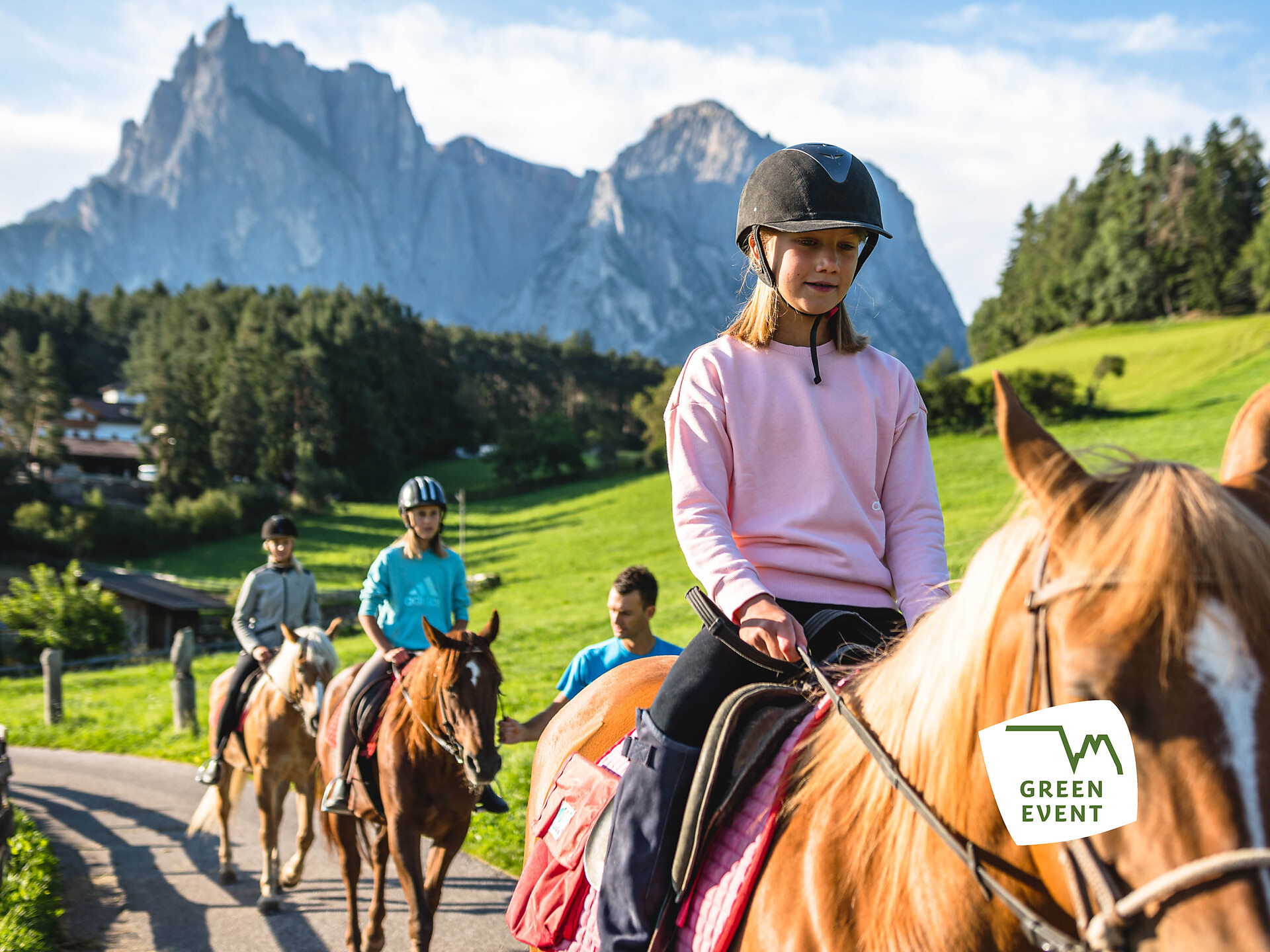 Farm Experience: all about horses