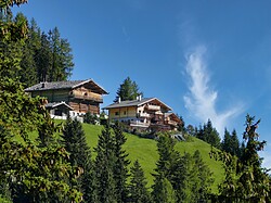 Gigglhirn
