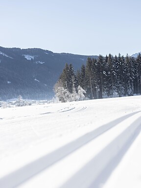 Gsiesertal Loipe