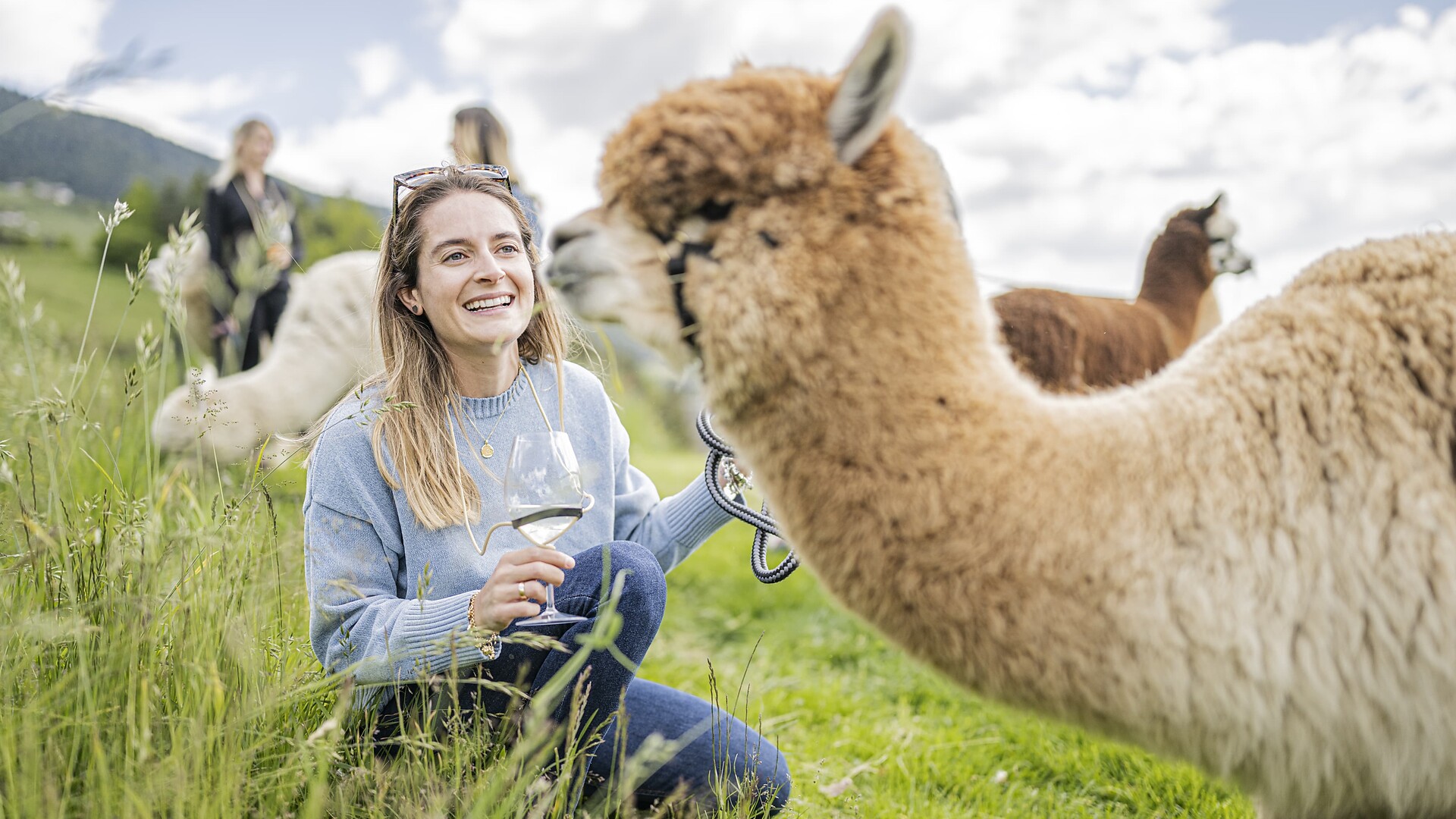 Step, Sip & Smile – with alpacas and South Tyrolean wine