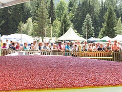 Südtiroler Erdbeerfest