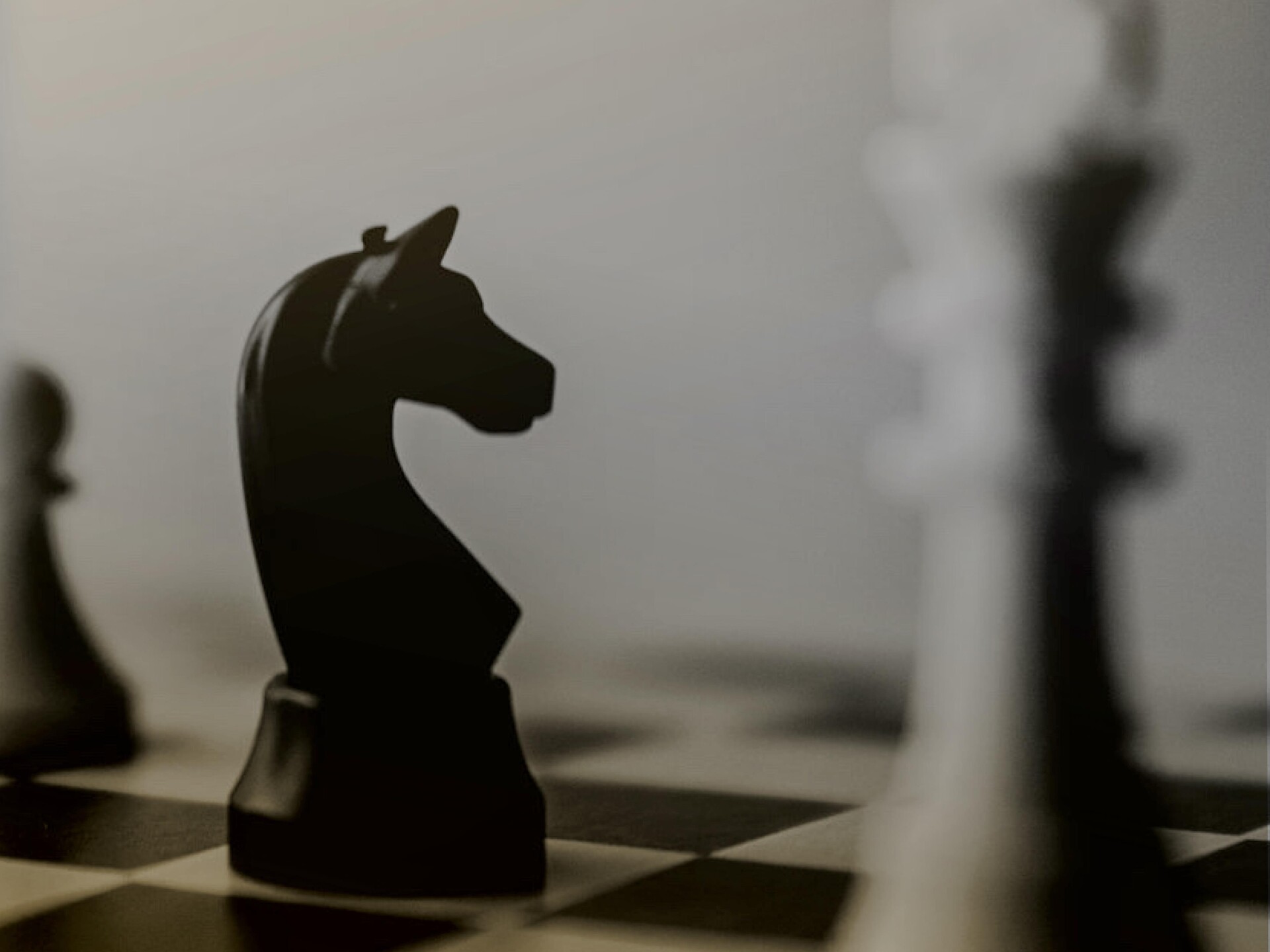 Incontro schacchi - Regione dolomitica 3 Cime - #3 - suedtirol.info