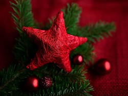 Canti dell'Avvento con il coro maschile Vierklang