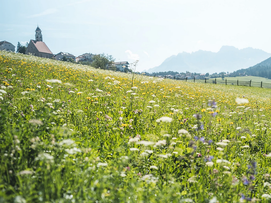 Mittwochs auf Tour: Vom sonnigen Deutschnofen zu den Schneiderwiesen - Dolomitenregion Eggental - #1 - suedtirol.info