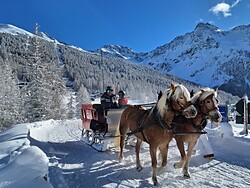 Winterbelevenis: rit met een door paarden getrokken slee in Sulden/Solda