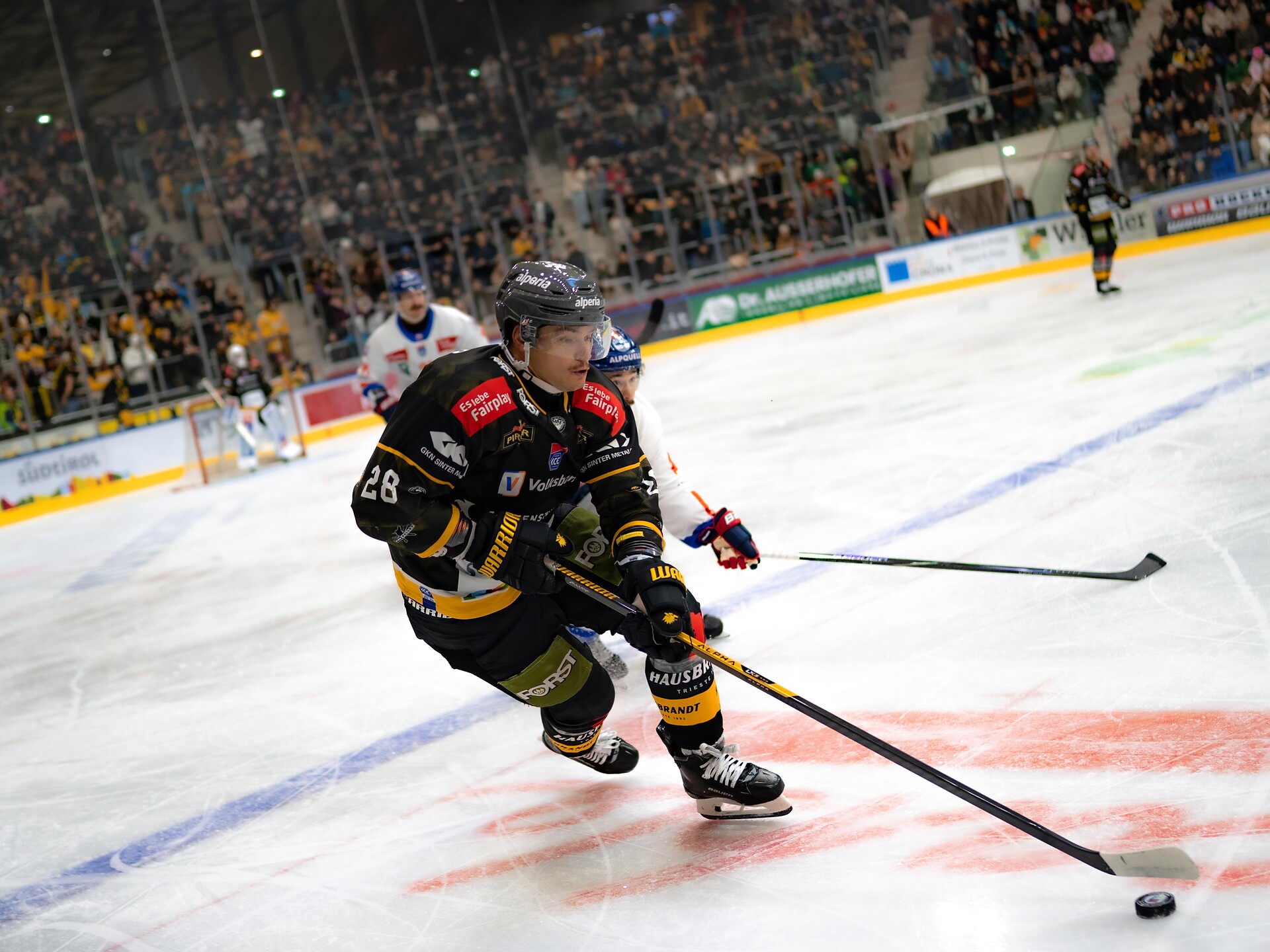 Ice Hockey Match: HC Falkensteiner Pustertal - HC TIWAG Innsbruck - Die Haie