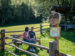 Geführte Wanderung auf dem Apple Walk
