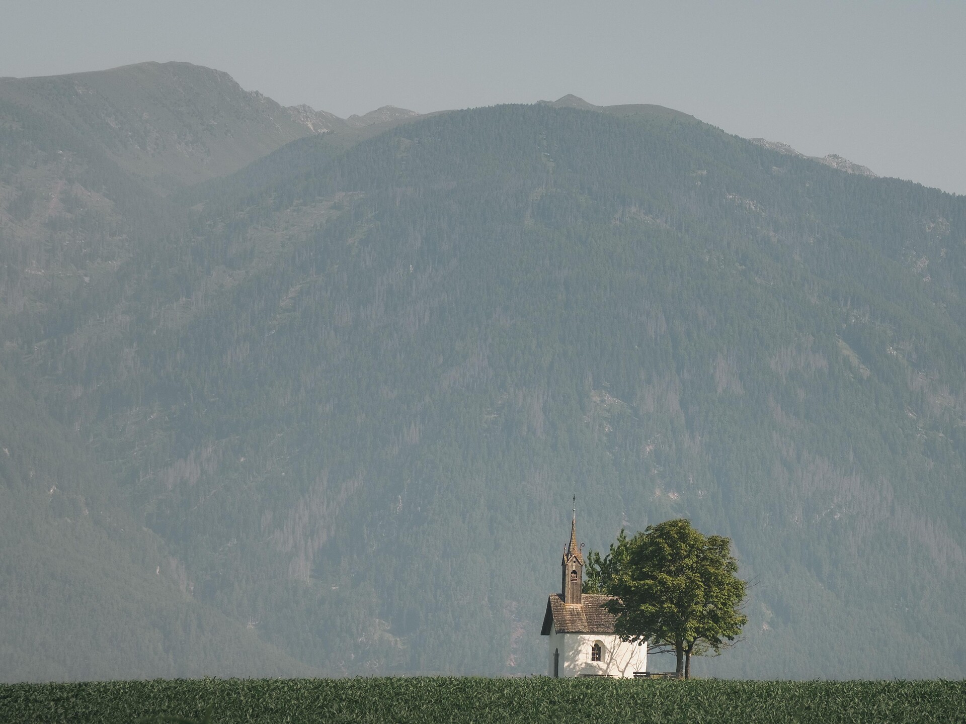 Nature, farm & flavour - Tschoggler farm