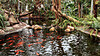 Orchideenwelt-Gargazon