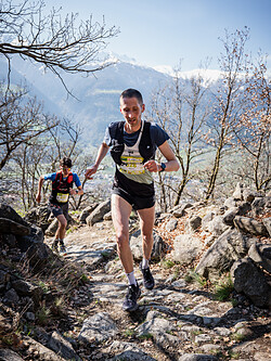 Unterstell Verticale