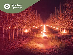 Vinschger Apfeltage: Abendklänge im Lichtermeer zwischen den Apfelbäumen