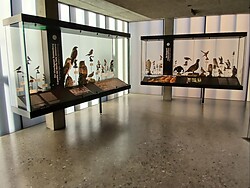 avimundus - The world of birds in the Stelvio National Park