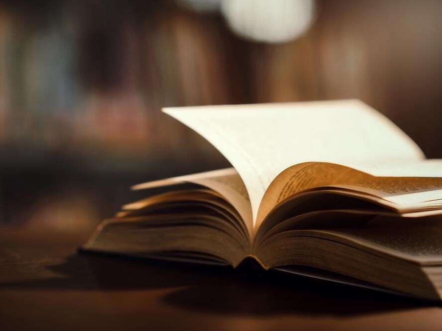 Literatur im Garten