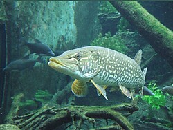 Natur entdecken im Besucherzentrum aquaprad