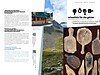Amt für Archäologie, Autonome Provinz Bozen