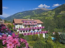 Pensione Weinberg