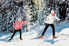Nordic Ski Cortina