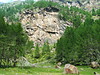 Tourismusverein Schnalstal