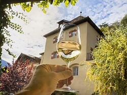 Degustazione di vini e visita guidata all'azienda vinicola 