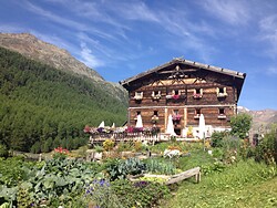 Marchegghof