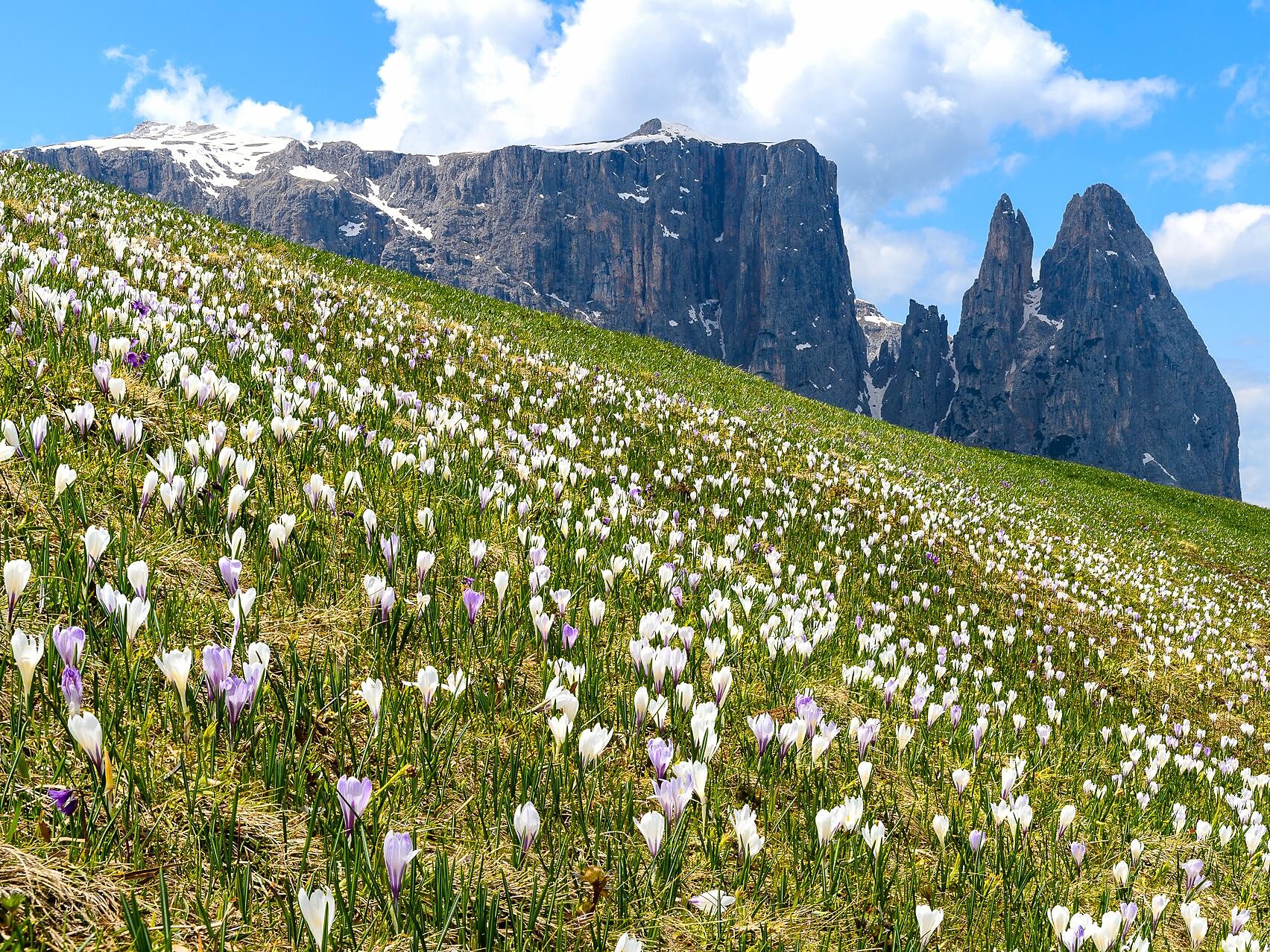 Naturpark Schlern-Rosengarten: Mulitivision mit Valentin Pardeller - Dolomitenregion Eggental - #2 - suedtirol.info