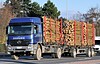 Autotransporte Varesco