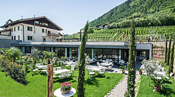 Faselehof