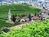 Trogerhof
