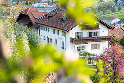 Tenuta Pardellerhof