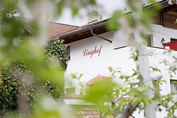 Linghof